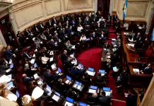 El Senado debatirá hoy proyectos que rechaza el gobierno nacional