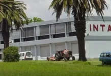 Nación pasó a “disponibilidad” a 343 trabajadores del INTA y otros dos organismos