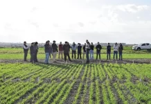 Entre Ríos impulsa desarrollos científicos que sirvan al campo