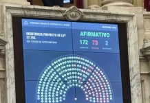 La Cámara de Diputados rechazó el veto de Milei a la Emergencia en Discapacidad
