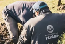 Finalizaron los trabajos de reparación del agua potable en Paraná