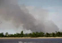 Volvieron los incendios en las islas del Delta del Paraná frente a Rosario