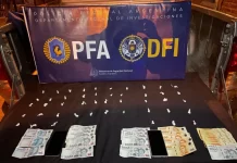 La Policía Federal detuvo a una joven que traficaba cocaína en Concordia