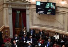 Discapacidad: Senado volteó el veto de Milei