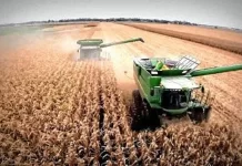 Vuelven las retenciones: las exportaciones del agro ya alcanzaron el cupo de 7.000 millones de dólares