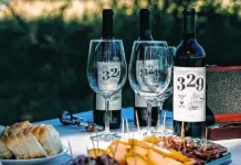 Un vino de Entre Ríos, entre los mejores del mundo