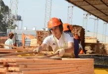 Luego de tres meses en caída, la actividad económica creció en agosto