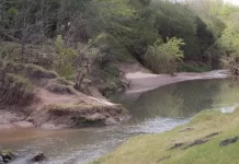 Se realizará en Galarza una jornada sobre patrimonio natural entrerriano enfocada al turismo de naturaleza