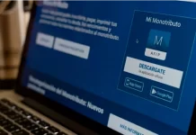 Los detalles sobre la investigación que iniciará ARCA a los monotributistas