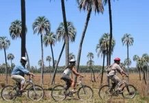 Expectativas moderadas en el sector turístico entrerriano ante el fin de semana largo