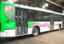 Los nuevos colectivos del transporte urbano tendrán imágenes icónicas Paraná