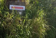 El Municipio de Paraná insta a los vecinos a mantener la limpieza de terrenos baldíos