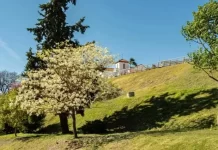 Anuncian un martes soleado y con 31°C en Entre Ríos: cuándo vuelven las lluvias