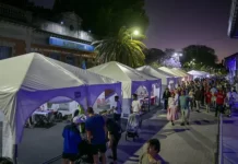 Este fin de semana se desarrollará la Feria de las Colectividades y Patio de Sabores