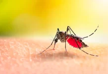 Se confirmó un caso de chikungunya en Entre Ríos