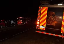 Tragedia familiar en Entre Ríos: murió una mujer tras el choque de una camioneta en Ruta 12