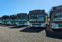Nuevo transporte urbano en Paraná: las líneas con denominación de letras y sus recorridos