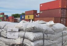 Por primera vez Entre Ríos exportó nuez pecán a China
