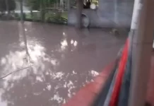 Patios de viviendas se vieron afectados por la rotura de un caño en Paraná