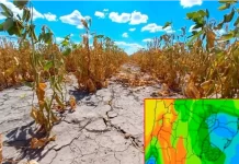 El verano 2025/26 se perfila con una “Niña débil” y alertas climáticas