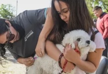 Salud animal: en 2025, se hicieron más de 7000 castraciones en Paraná
