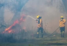 Entre Ríos envía a Chubut brigadistas del Plan Provincial del Manejo del Fuego