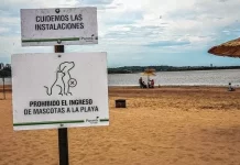 Balneario Thompson: por razones de seguridad, se restringe el ingreso de mascotas