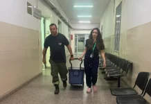Se realizó un nuevo operativo de ablación de órganos en Paraná