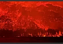La Patagonia, arrasada por el fuego: incendios intencionales dejaron más de 3 mil evacuados y llamas incontrolables