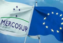 Milei viajará a Paraguay para la firma del acuerdo comercial entre el Mercosur y la Unión Europea