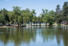 El Festival Popular llega al Parque Gazzano