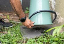 Recuerdan la importancia de sostener el descacharrizado para prevenir el dengue