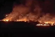 Diamante: incendio de gran magnitud afecta a la reserva natural Tierra Chaná