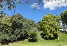 Vuelve a salir el sol en Entre Ríos: anuncian 22°C de máxima este miércoles