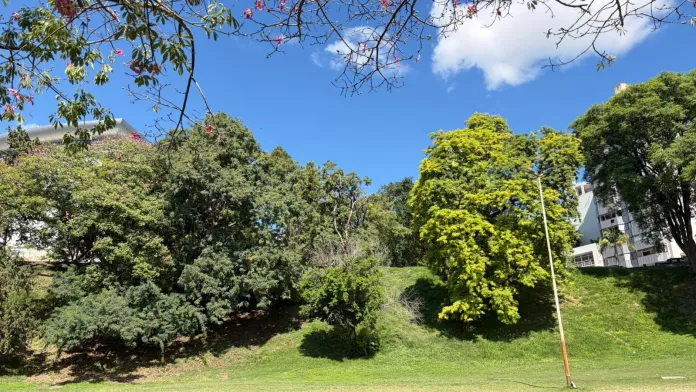 Cielo-Nubes-Soleado-Parque
