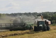 Productores arroceros advierten una crisis con rentabilidad nula