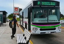 Paraná: implementan cambios en tres líneas de colectivos y crean otro ramal de la línea H