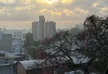 Alerta por niebla en Entre Ríos: qué pasará con las temperaturas