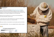 Histórico: miel entrerriana llega a Europa con arancel 0% en la primera certificación Mercosur-UE
