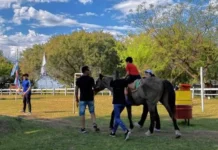 Centros de equinoterapia en jaque por falta de reglamentación de la Ley