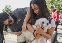Continúan los operativos gratuitos de castración en los barrios de Paraná