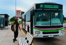 Cambios en la Línea P: el nuevo trayecto del ramal 2 por obras en el centro