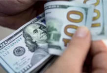 El Gobierno analiza facilitar los préstamos en dólares para impulsar la economía
