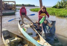 La Escuela Municipal de Canotaje realizó una jornada de limpieza del río Paraná