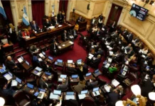 Ley de Salud Mental: el Senado debatirá la reforma que habilita internaciones involuntarias