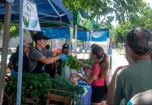 Feria en tu Barrio recorrerá tres puntos de Paraná esta semana