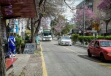 Calle 25 de Mayo: este martes comienzan nuevos trabajos en Paraná