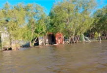 Crece el río y superaría el nivel de alerta en noviembre en Paraná: qué anticipa el INA